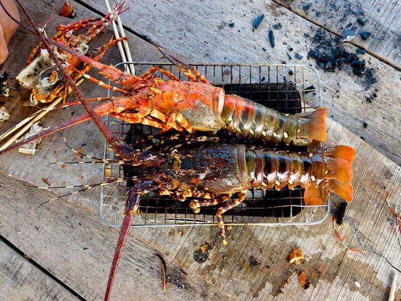 binh-ba-island-lobsters