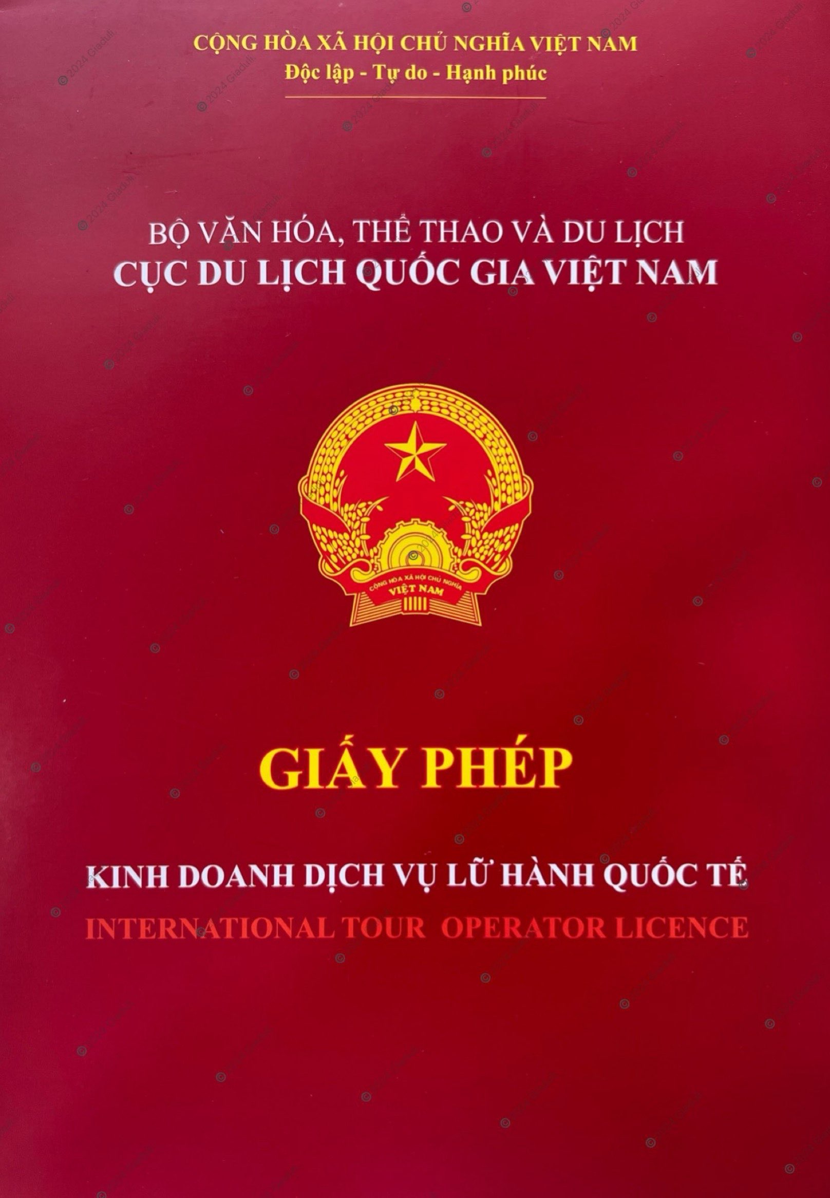 Giaduli's International Travel License: What You Need to Know